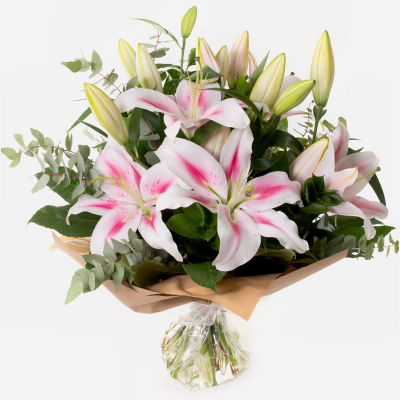Star Gaze
 - A special gift of long lasting Oriental Lilies so simple, so perfect.