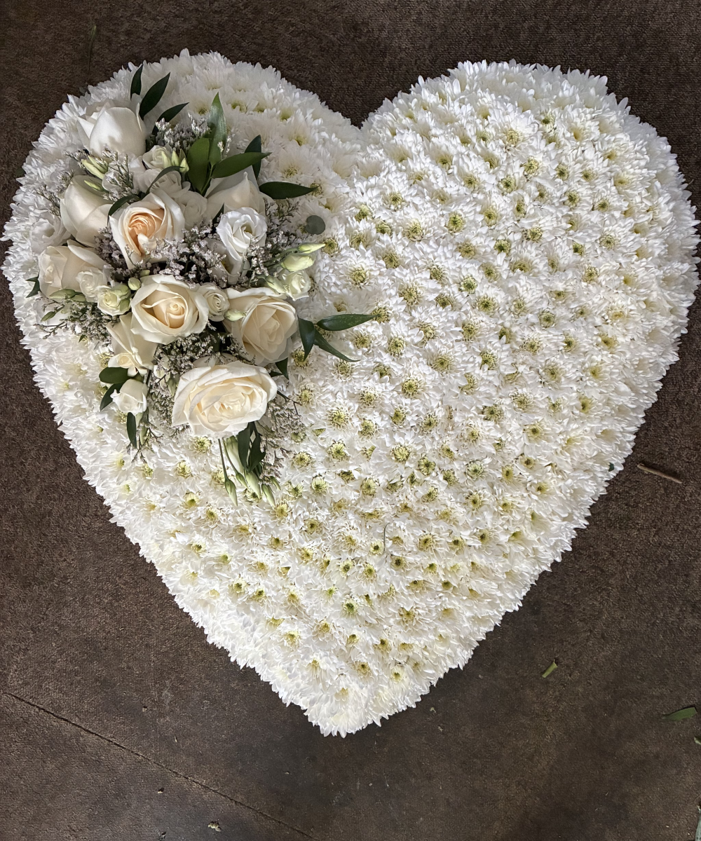 Solid heart FN 06 Product Image