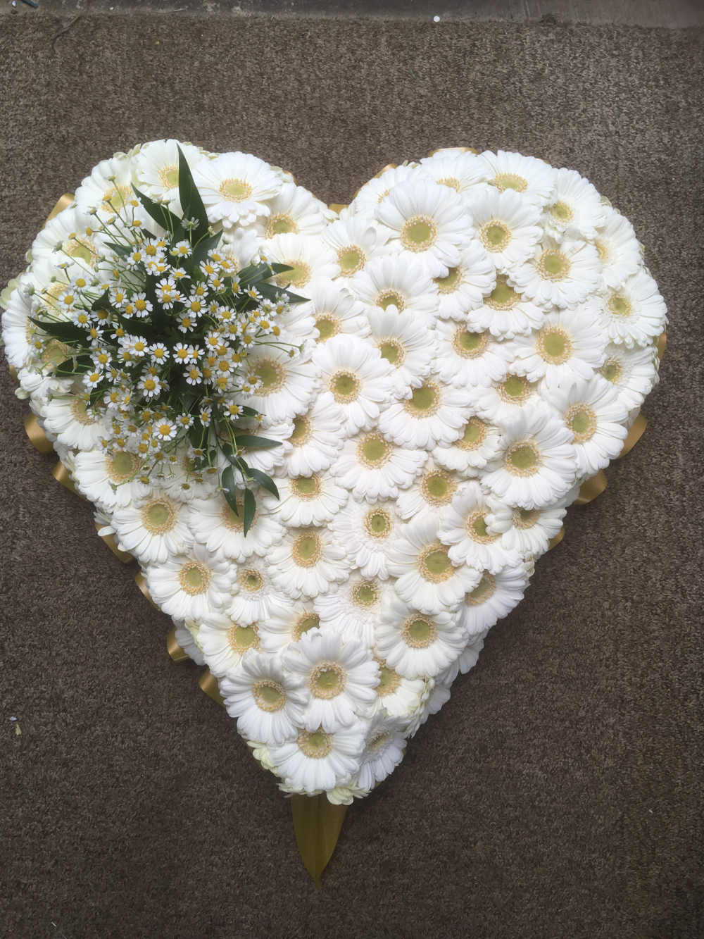 Gerbera daisy heart Product Image